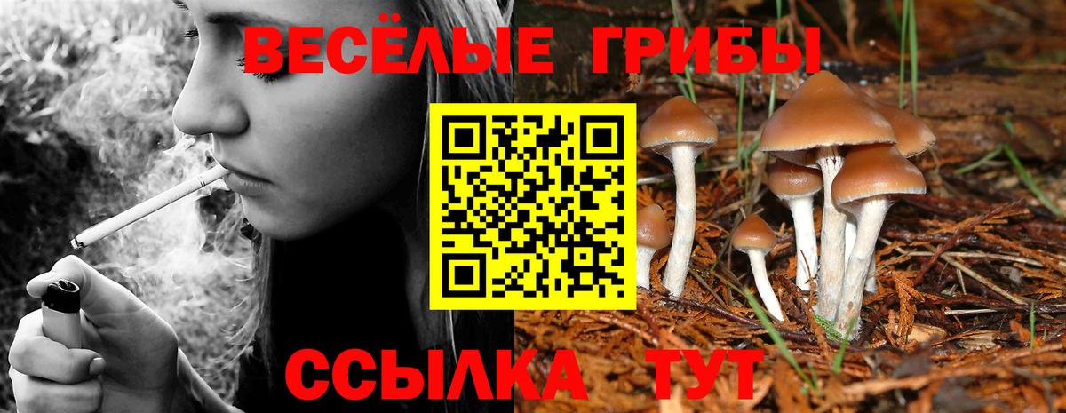 Галлюциногенные грибы GOLDEN TEACHER  Вход с VPN  Южноуральск 
